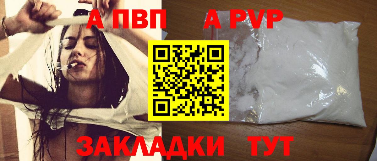 Майкоп  Альфа ПВП СК КРИС  А ПВП СК КРИС  Вход с VPN  А ПВП СК 